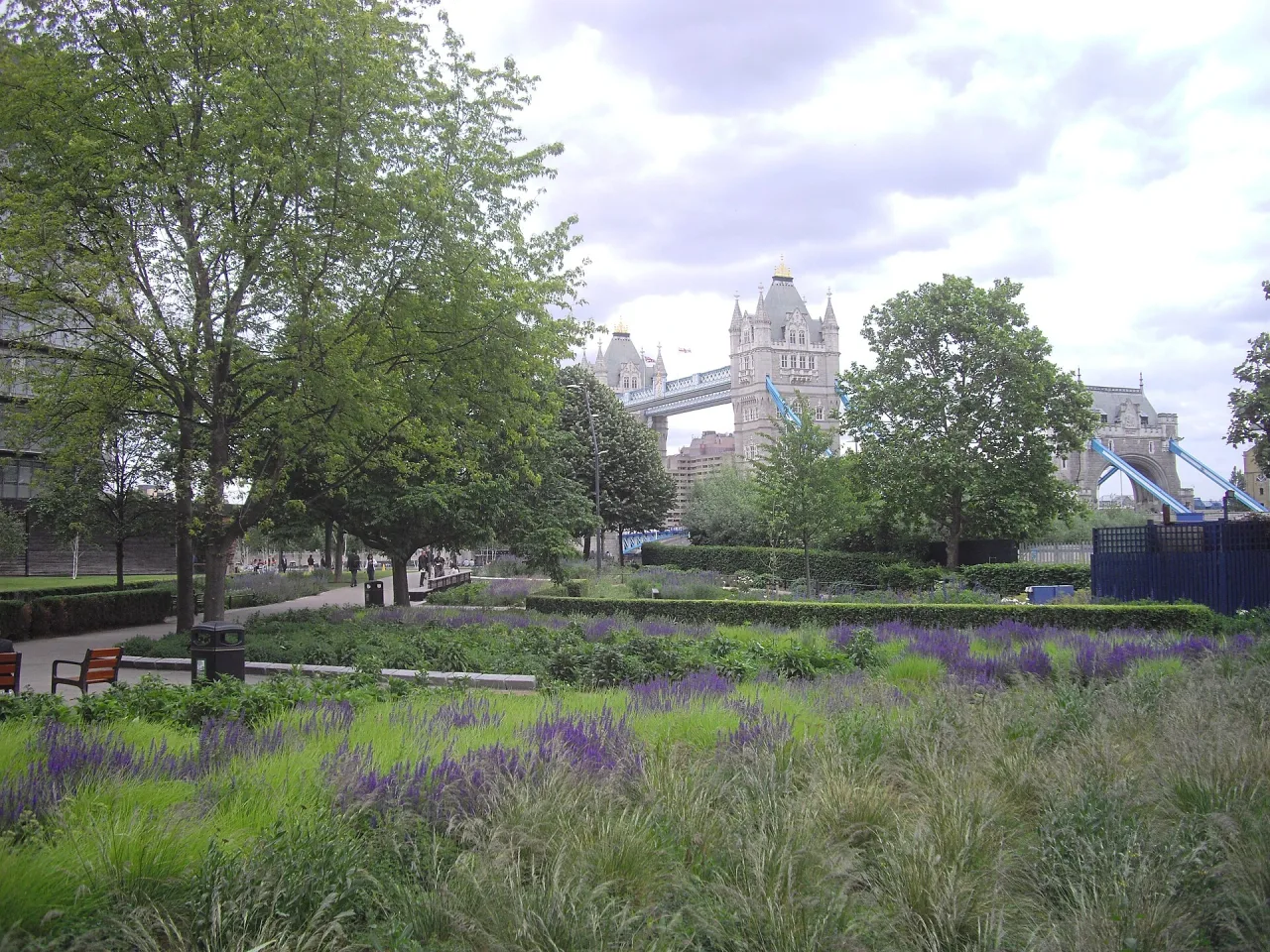 Landscaped riverside park with lavender and grasses in the foreground and Tower Bridge rising beyond the trees under a cloudy sky.