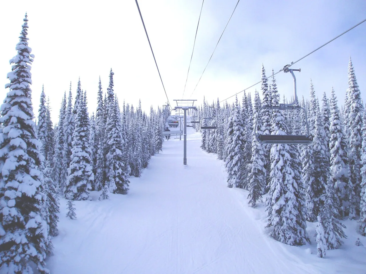 A ski run lined with snow-covered fir trees, with a chairlift line and empty chairs overhead under a pale sky.