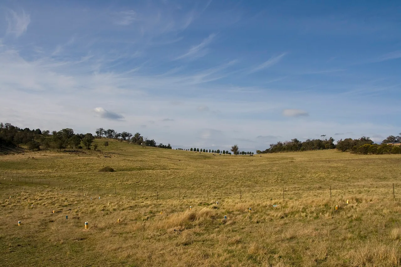 Open dry grassland in the Southern Highlands of New South Wales, with gentle hills, scattered trees and a wide blue sky streaked with cloud.