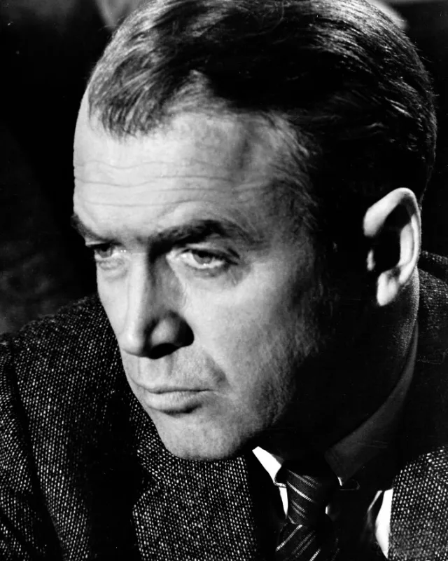 Black and white close-up portrait of an older man in profile, looking off to the left with a stern expression, wearing a textured tweed jacket and striped tie.